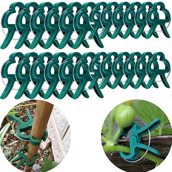 10 бр. фиксирани скоби за растенията, за многократна употреба градински оранжерийни скоба за закрепване на растенията, поддръжка на стъблото на лозата, цветни растения, градински принадлежности