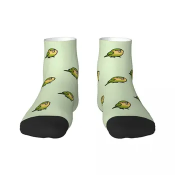 Дамски мъжки ластични чорапи с принтом Kakapo на лято, есен, зима, чорапи с папагала
