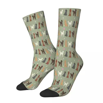 Мем Лабрадудль, Labradoodles, Чорапи с куче Лабрадор, мъжки, дамски пролетни чорапи от полиестер